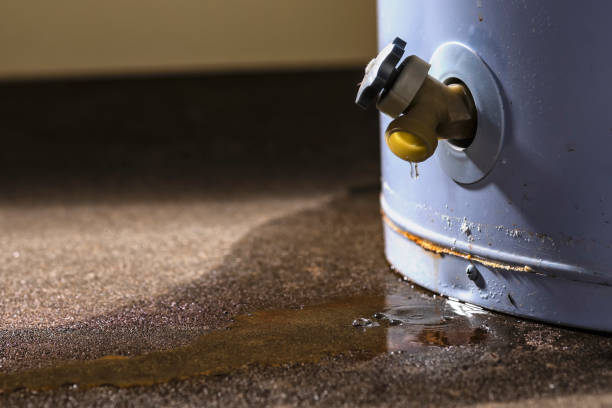 Best Water damage restoration near me  in Hope, IN