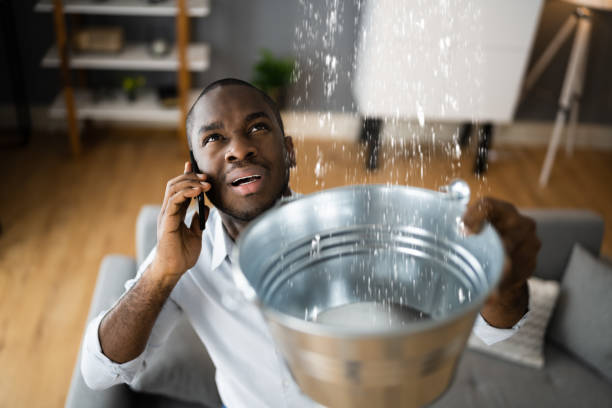 Best Flood restoration services  in Hope, IN