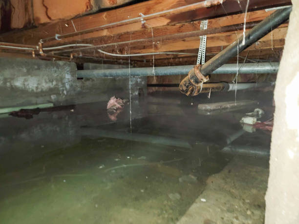 Best Local water damage restoration  in Hope, IN