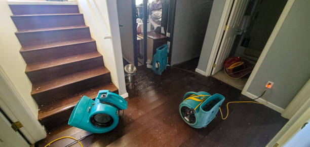 Best 24-hour water damage restoration  in Hope, IN