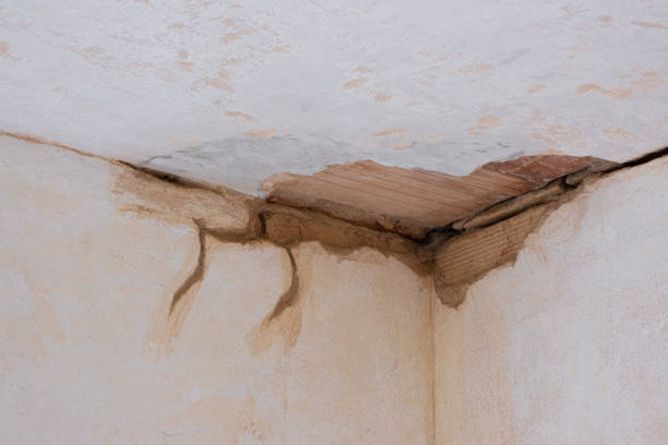 Best Residential water damage restoration  in Hope, IN