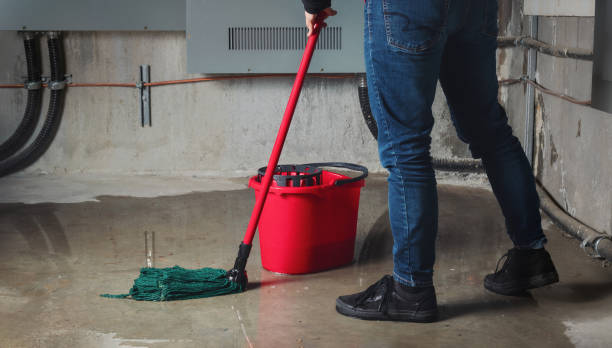 Best Water damage restoration near me  in Hope, IN
