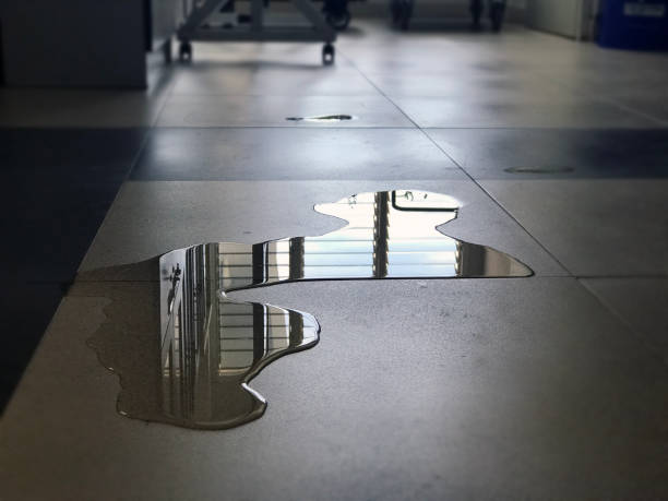 Best Water damage repair service  in Hope, IN