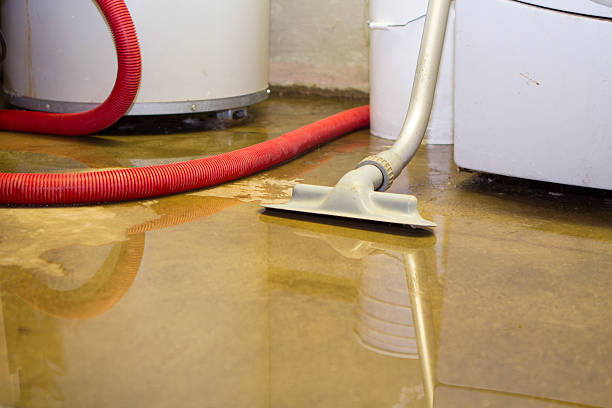 Best Mold removal after water damage  in Hope, IN