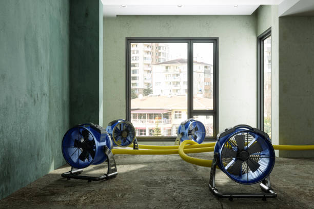 Best Sewage cleanup and water damage restoration  in Hope, IN