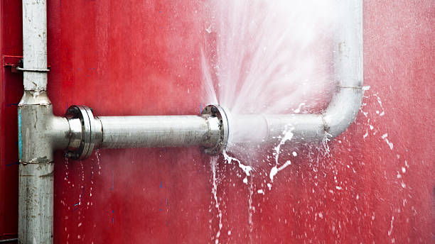 Best Basement water damage restoration  in Hope, IN
